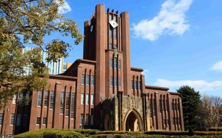 A Guide to the Top 10 Universities in Japan: Which One is Right for You?
