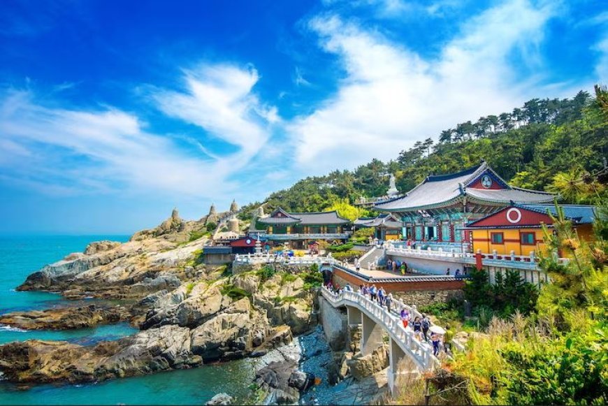 Top 10 South Korean Universities for International Students: A Comprehensive Guide